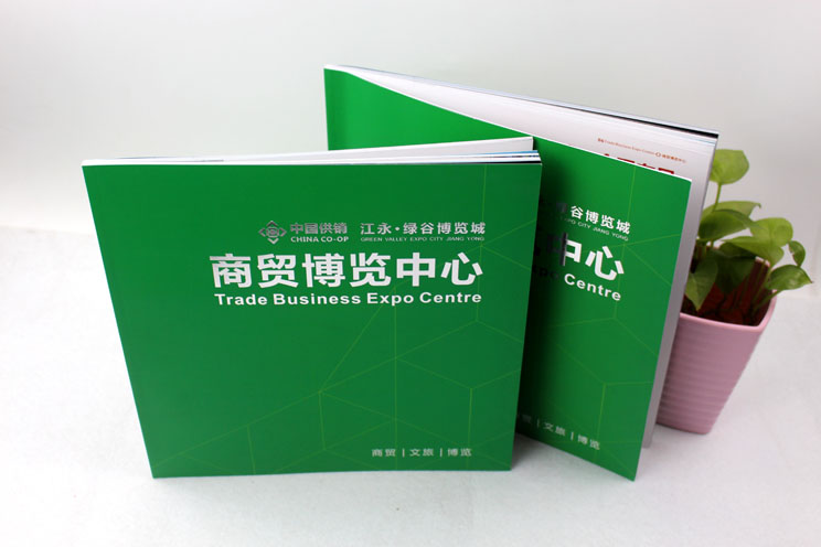 江永商貿(mào)博覽中心樓書(shū)畫冊(cè)