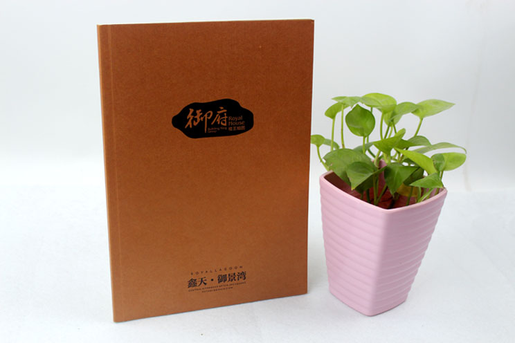 鑫天御景灣樓書(shū)畫冊(cè)